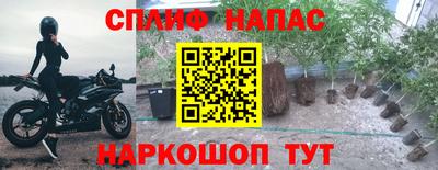 сатива Балашиха