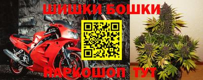 гидропоника Балахна