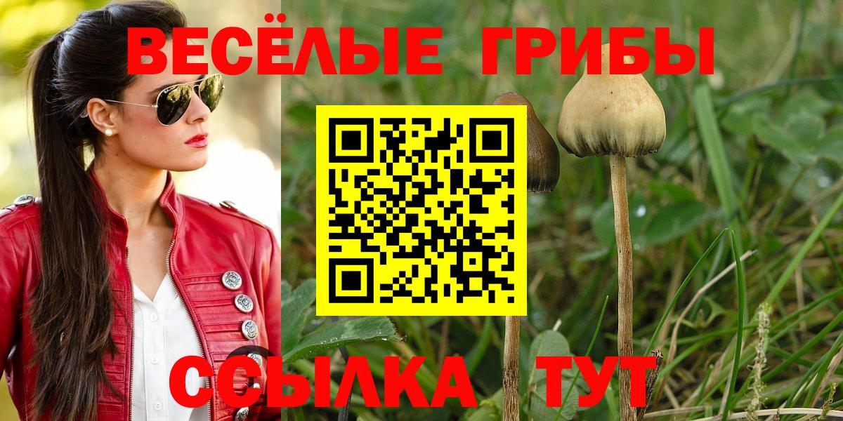 Дзержинск  Галлюциногенные грибы MAGIC MUSHROOMS  Вход с VPN 